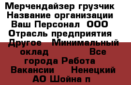 Мерчендайзер-грузчик › Название организации ­ Ваш Персонал, ООО › Отрасль предприятия ­ Другое › Минимальный оклад ­ 40 000 - Все города Работа » Вакансии   . Ненецкий АО,Шойна п.